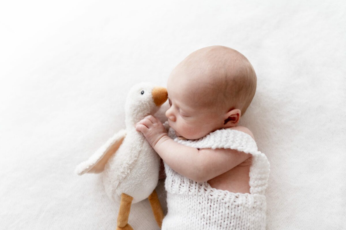 Naturel newborn omgeving Terneuzen