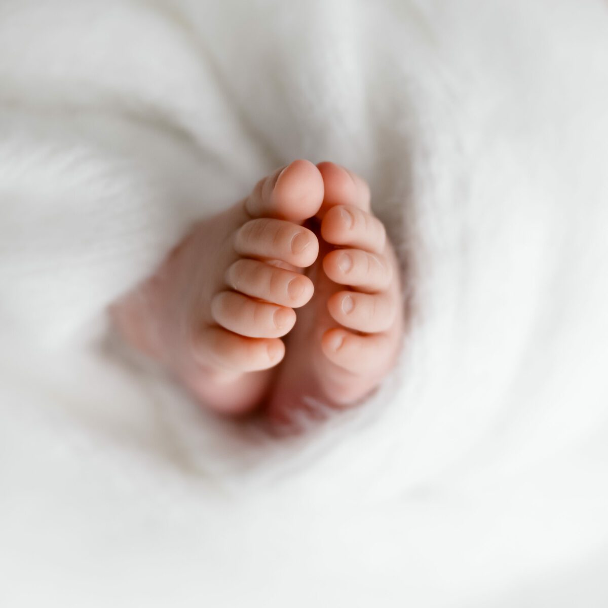 Details newbornshoot Hulst